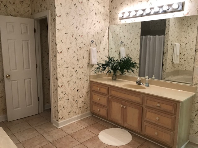 Lower Level Bath
