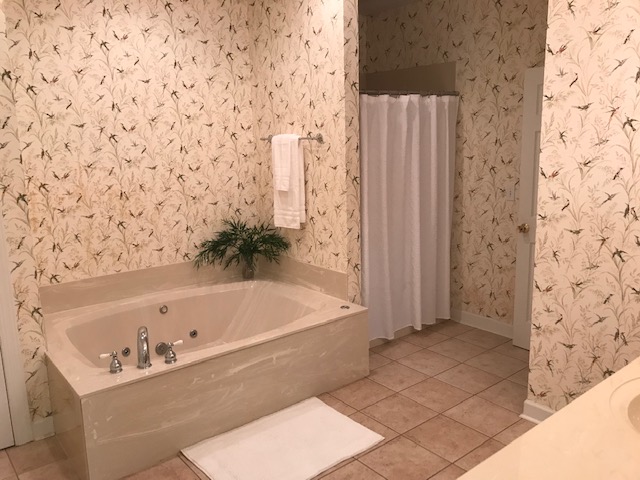 Lower Level Bath